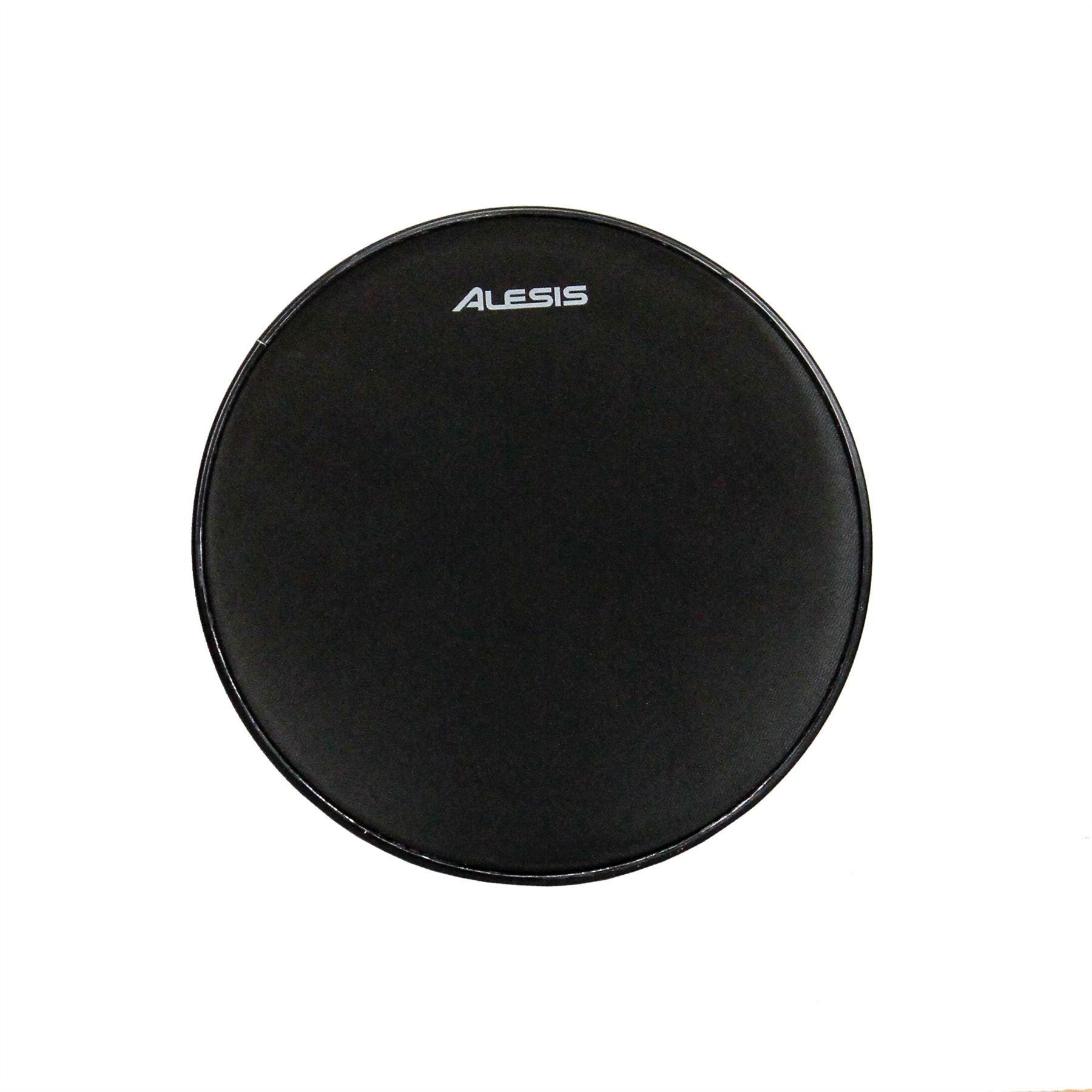 Alesis dm10 mesh hotsell