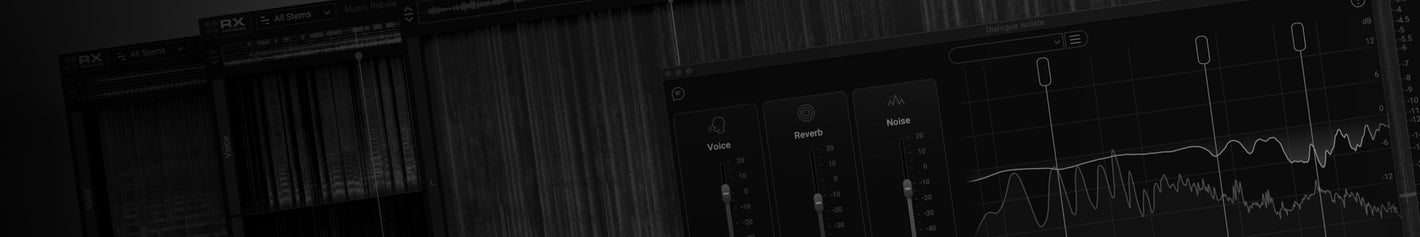iZotope Ozone 12
