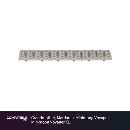 Moog 12-note Key Contact Strip for Grandmother, Matriarch, Minimoog Voyager, Minimoog Voyager XL