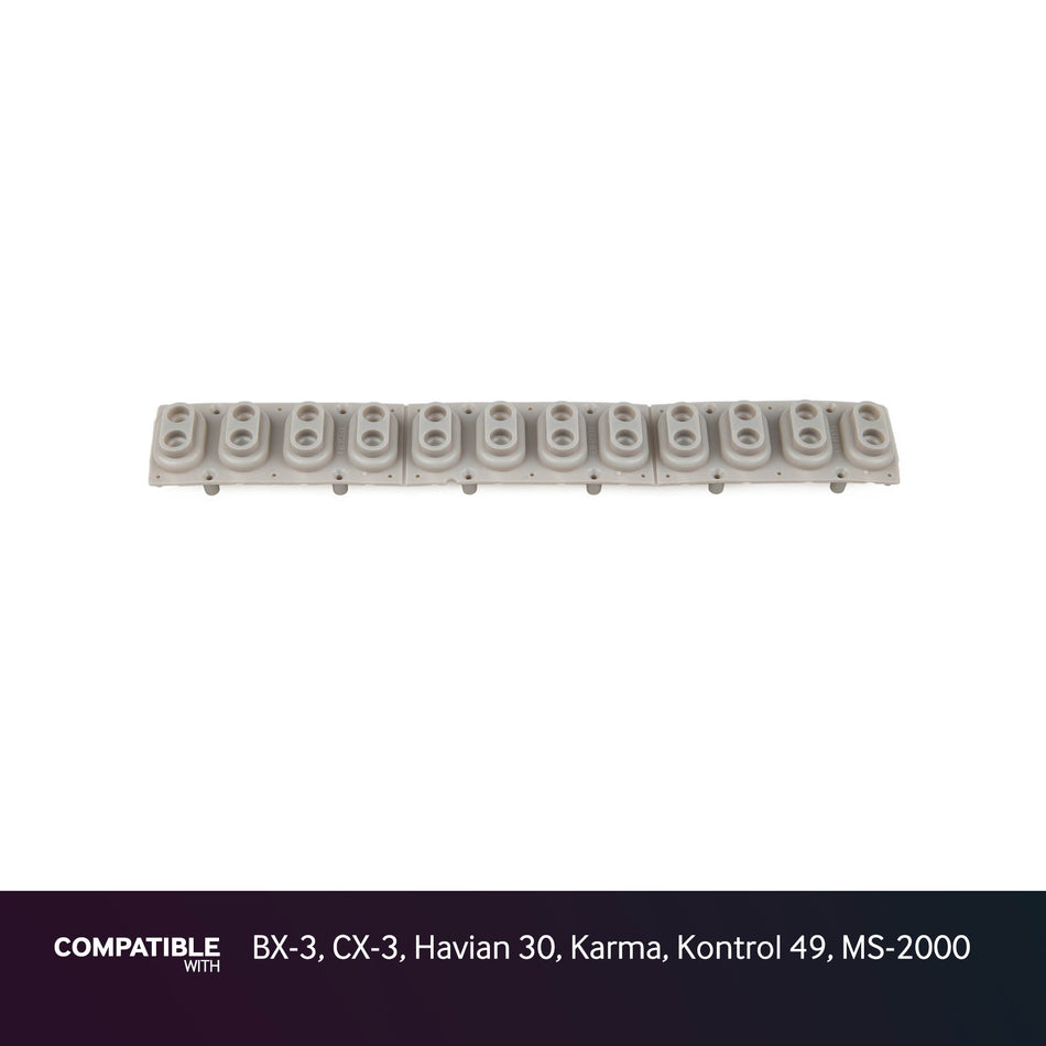 Korg 12-note Key Contact Strip for BX-3, CX-3, Havian 30, Karma, Kontrol 49, MS-2000