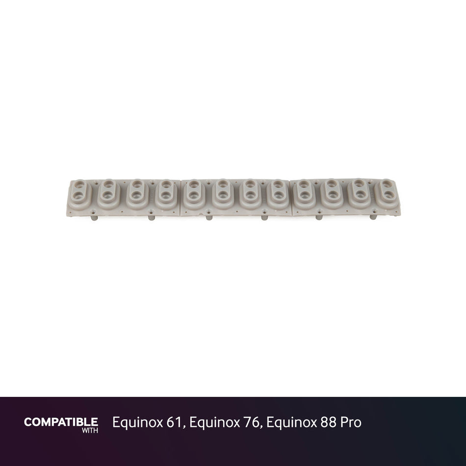 Generalmusic (GEM) 12-note Key Contact Strip for Equinox 61, Equinox 76, Equinox 88 Pro