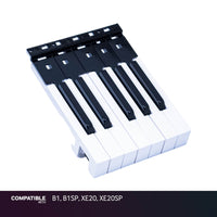 Korg 12-Note Key Assembly for B1, B1SP, XE20, XE20SP