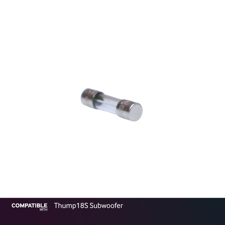Fuse for Thump18S Subwoofer