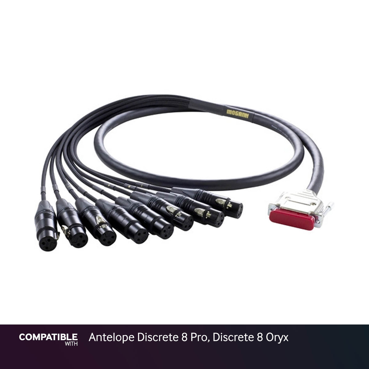 Mogami Gold 3-foot DB25 to XLRF Snake for Antelope Discrete 8 Pro, Discrete 8 Oryx