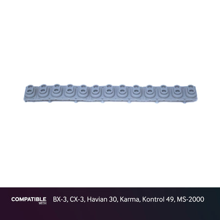 Korg 13-note Key Contact Strip for BX-3, CX-3, Havian 30, Karma, Kontrol 49, MS-2000