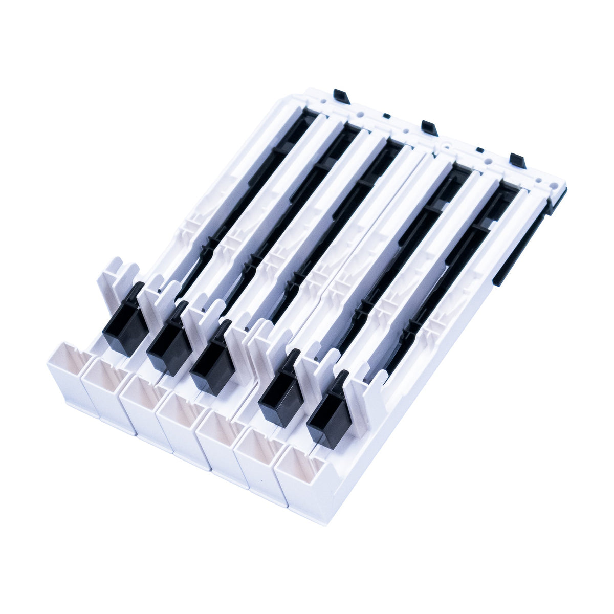 Korg 12-Note Key Assembly for B1, B1SP, XE20, XE20SP