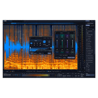 iZotope RX 12 Standard EDU - Digital Download