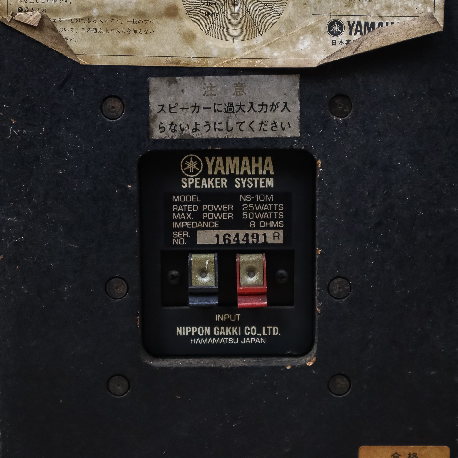 U255913-10.jpg?v=1744747560&