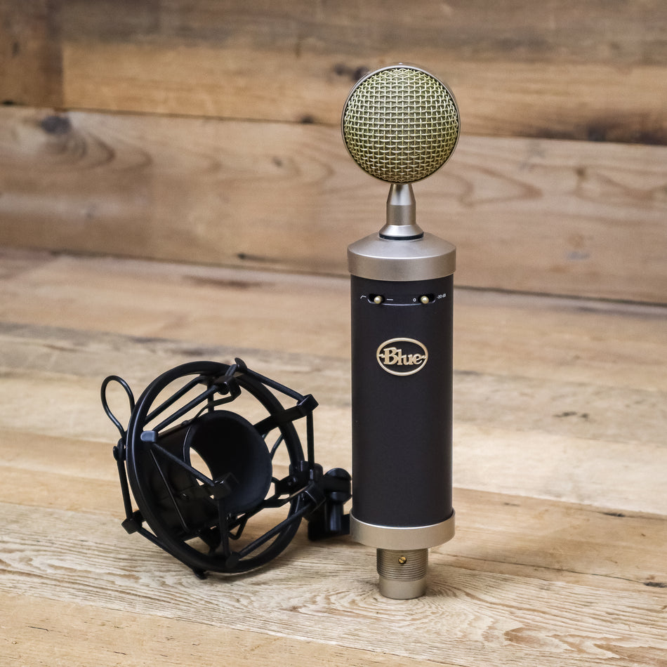 Blue Microphones Baby Bottle SL Studio Condenser Microphone