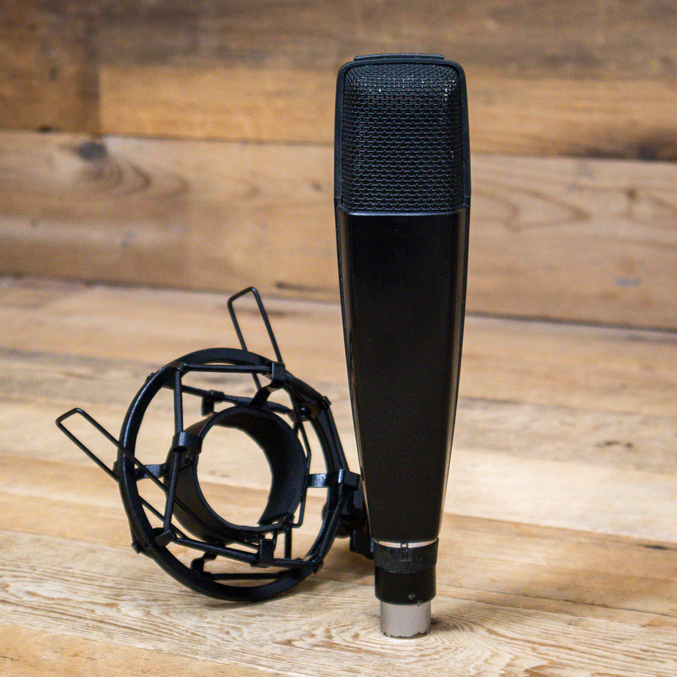 Sennheiser MD-421 U5 Dynamic Microphone with Shock Mount