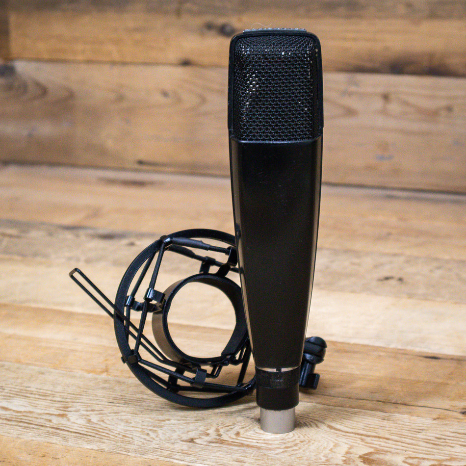 Sennheiser MD-421 U5 Dynamic Microphone with Shock Mount