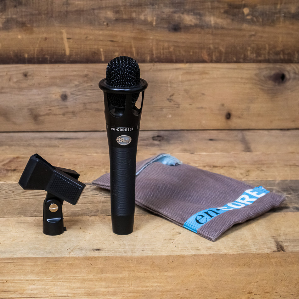Blue Microphones enCore 300 Condenser Microphone, Black
