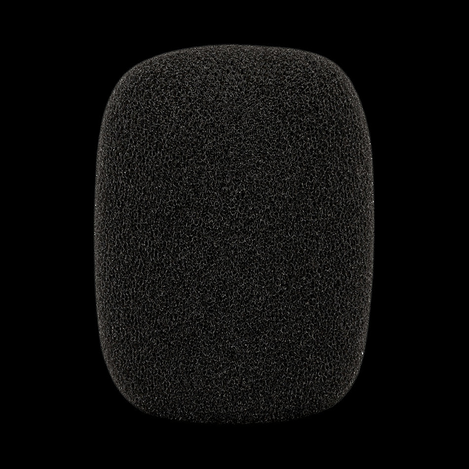 Rode WS3 Pop Filter Wind Shield for NT3 Microphone