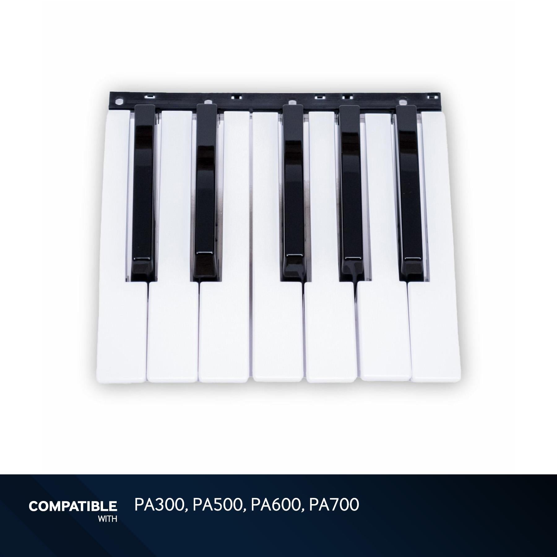 Korg pa600 microphone hotsell