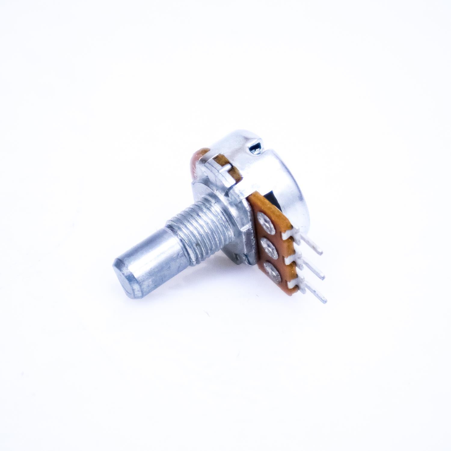 その他 P. Stem Fern Select Shop | Select Artificials