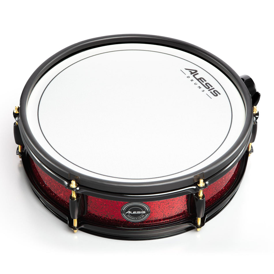 Alesis 14" Dual-Zone Mesh Floor Tom Pad for Strike Pro Special Edition Kits