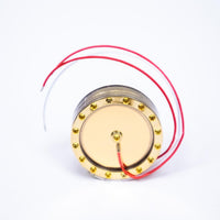 32mm Dual Diaphragm Gold Microphone Capsule for Studio Projects C1, C3