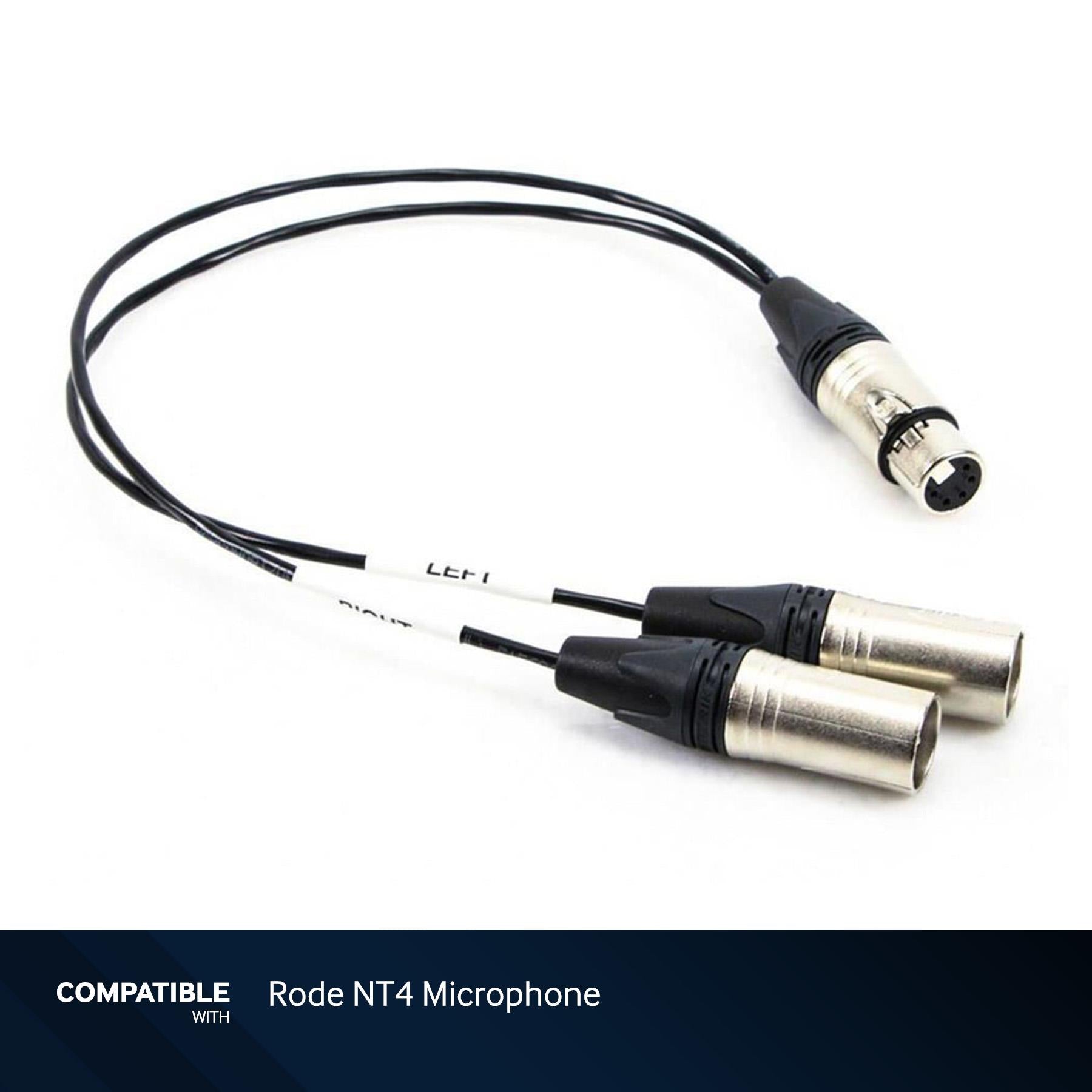 RapcoHorizon 1-Foot 5-Pin XLR to Stereo 3-Pin XLR Y-Cable
