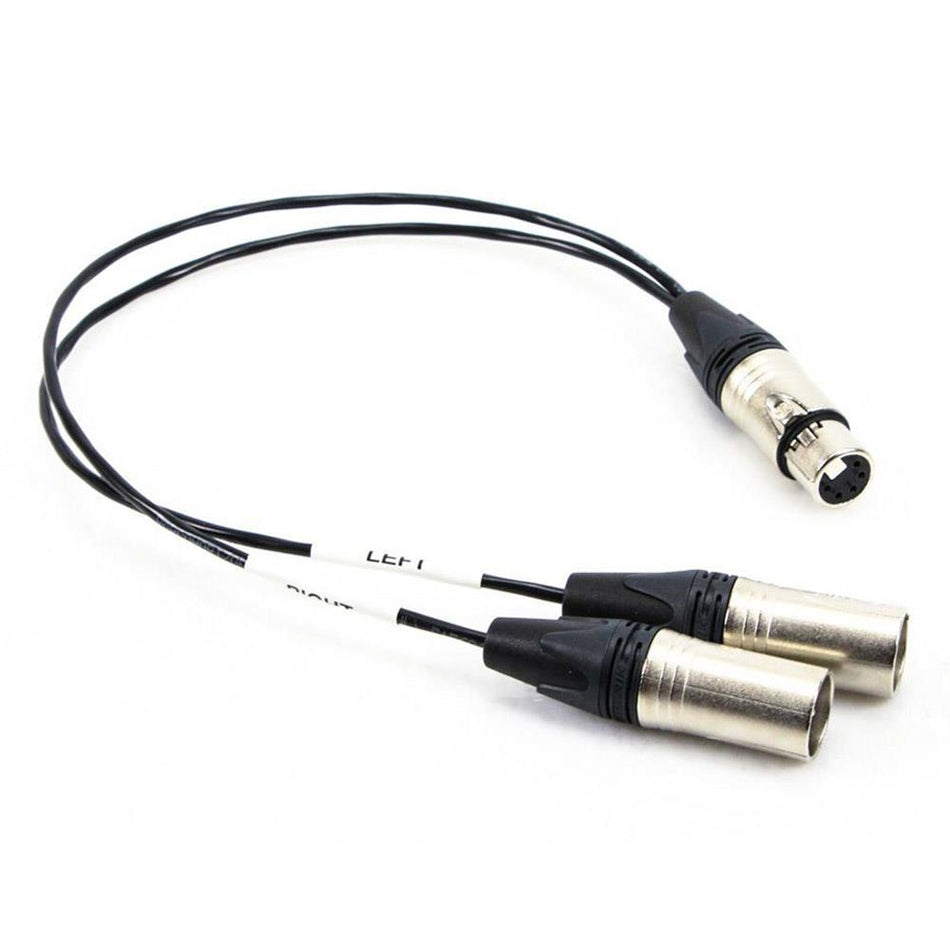 Rapco 5-Pin XLRF to Dual 3-Pin XLR-M Mic Y Cable 1-Foot Stereo Splitter 88-04072
