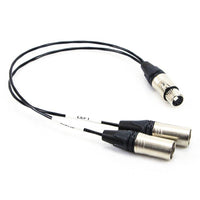 RapcoHorizon 5-Pin XLR Female to Dual 3-Pin XLR Male Stero Microphone Y-Cable, 1-Foot