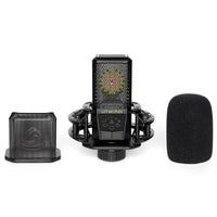 Lewitt LCT 441 FLEX Multi-Pattern Studio Microphone
